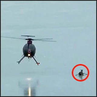 Helicopter Heroes Rescue a Deer and her Fawn from Certain Death