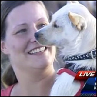 Dog Buried in Tornado Rubble for 2 Days is Miraculously Found Alive