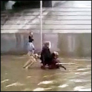 Heroic Dog Helps his Handicapped Owner Home During Flash Flood