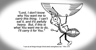 How God Answered A Prayer Using an Ant is MIRACULOUS!