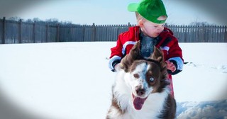 These Sneaky Pups Have Perfect Timing. The Wedding Photo Had Me Slapping My Knee!