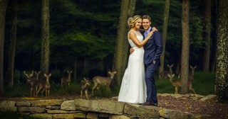 Oh, Deer! We Bet The Bride And Groom Didnâ€™t Expect THESE Guests!