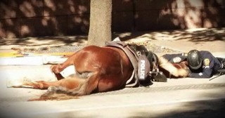 A Powerful Photo Of An Officer Comforting A Dying Horse Goes Viral