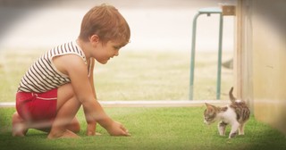 Stressed Out People Adorably Surprised By Kittens