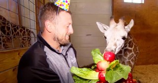 April The Giraffe's Adorable Baby Calf Turns 6 Month Old