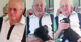 Family Surprises Grandpa With A Puppy