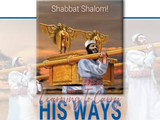 Torah Portion - B'midbar - Numbers 1 - 4:20 (HOUR 1)