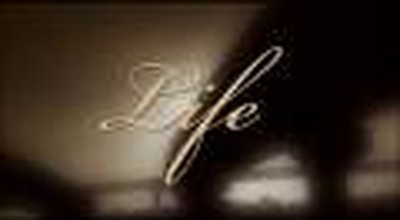 The Forgotten Generation - Crossroads Ministries