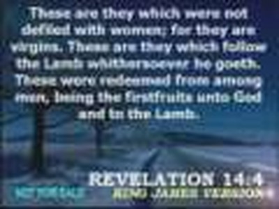 The Revelation of Saint John - Chapter 14