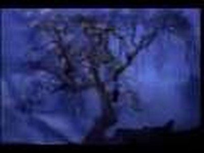 The Origins of The World V2