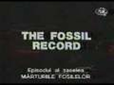 British Creationism V7