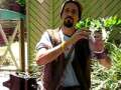 Star Wars Talks with Forrest IV  live at Magic Mountain...