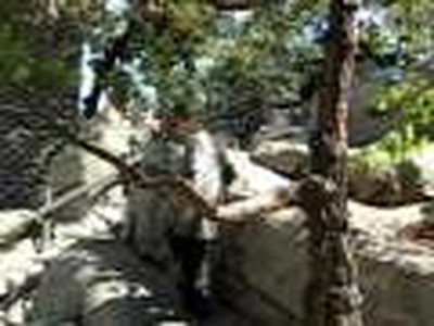 the Cave (6)