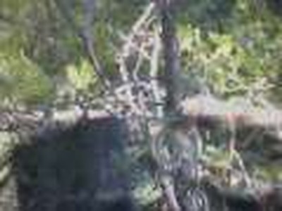 Up On The Mountain by "Steven Curtise Chapman"