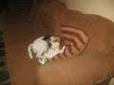 Twas A Night Like All Others in the Preacher's Abode