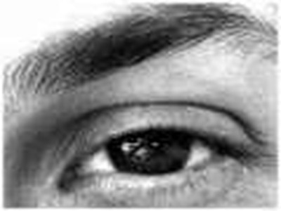 Microreportajes Solidaria TV El juego