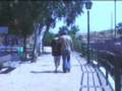 microreportajes Solidaria TV leccion de una abeja