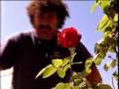 microreportajes Solidaria TV la rosa dentro