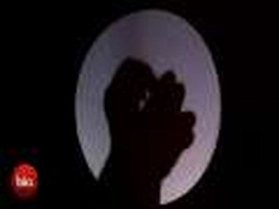 What a Wonderful World - Shadow Puppet Show