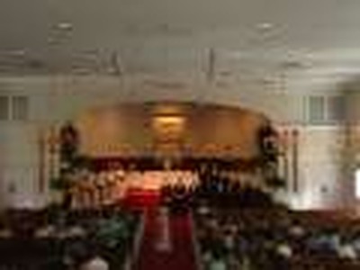 Mr. and Mrs. Ray Sanford's Wedding