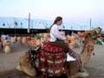 Beth Riding Camel In Israel