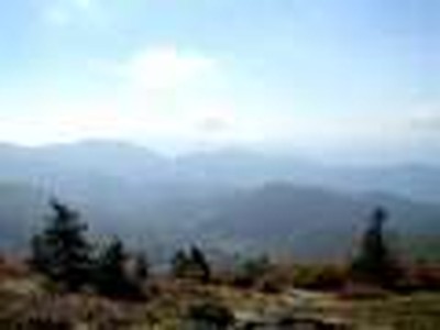 Roan Mountain Retreat