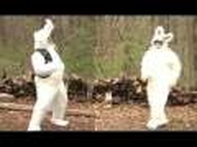 Bunnies In The Wild