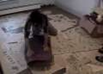 Treasures Under Carpet - Jeff and Natasha Webisode 3