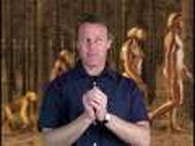 Evolutionary Perspective