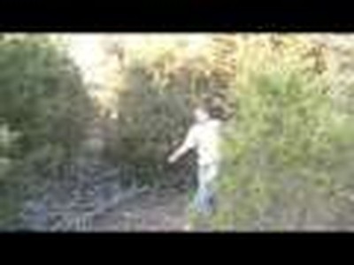Hunted Teaser 1