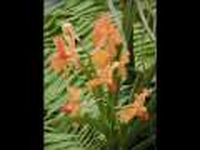 The Wonders of God - Part 1