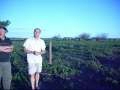 Proyecto Campo - Land&Acirc;&acute;s Project