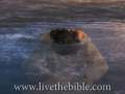 The Baptism of Jesus Animation - iLumina Bible
