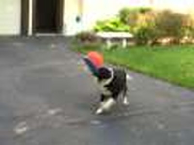 Kena catches a ball in a Frisbee