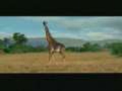 How to spot a blond antelope