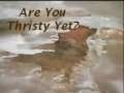 HELL - The Reality Ride