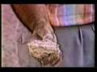 Evidence for Sodom &amp; Gomorrah http://wyattmuseum.com
