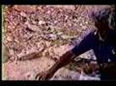 Evidence for Sodom & Gomorrah Part 2 http://wyattmuseum.com Ron Wyatt