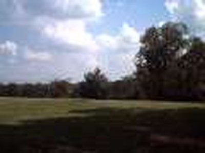 Fore
