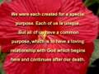 Seeking Union with God Formation Class Introduction