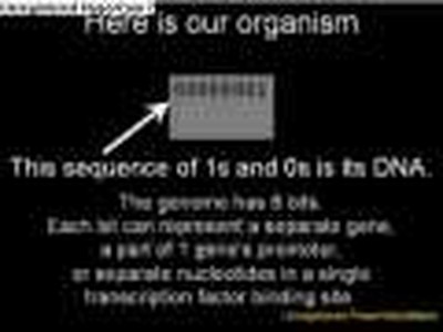 How evolution really works
