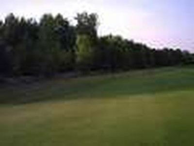 Golfing With A Deer