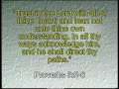 search With Me - 13 Depencence Day