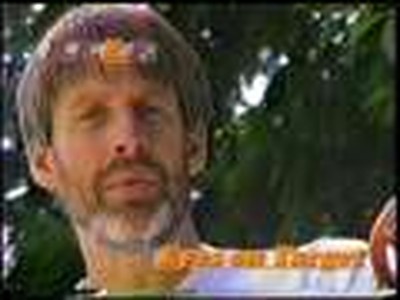 B.E.E.F. - Eyes on Target