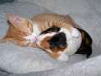 You Got A Friend In Me - Randy Newman