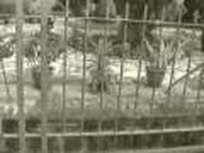 Amir Tsarfati Tour Guide