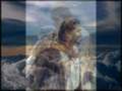 David & the  Giants ~  Here's My Heart