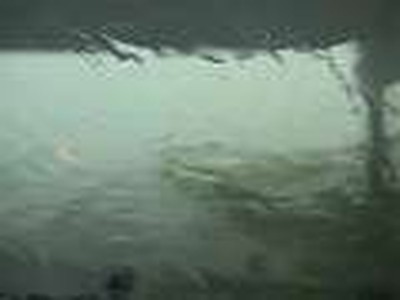Sunday Evening Rain Storm