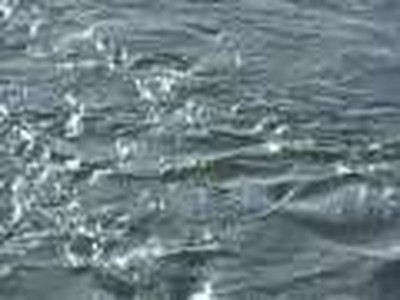 The Fountains Burst Forth