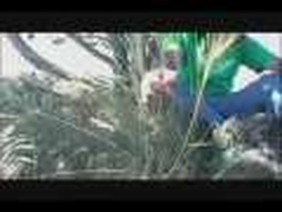 Todd Agnew - Unchanging One (Christian Rock)